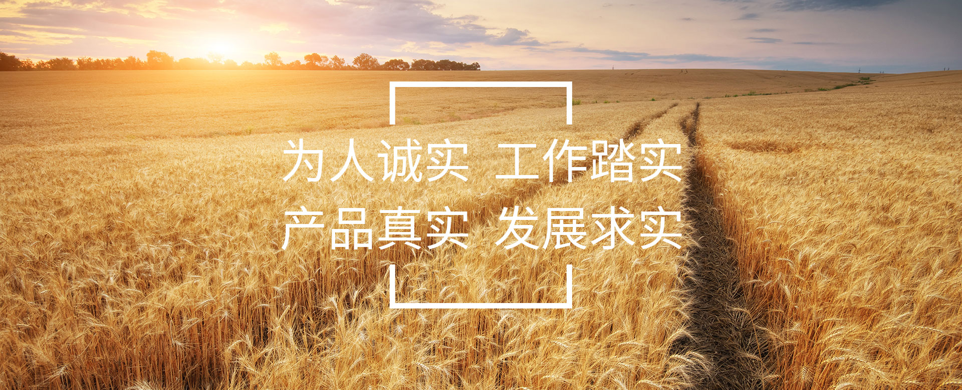 為人誠實(shí)  工作踏實(shí) 產(chǎn)品真實(shí)  發(fā)展求實(shí)